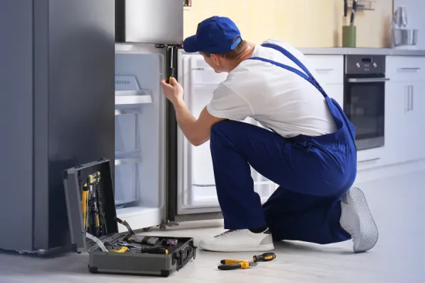 David Electronics Reparaciones