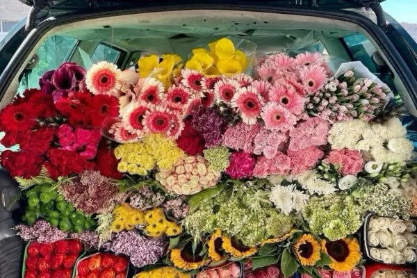 Abbonamento Fiori