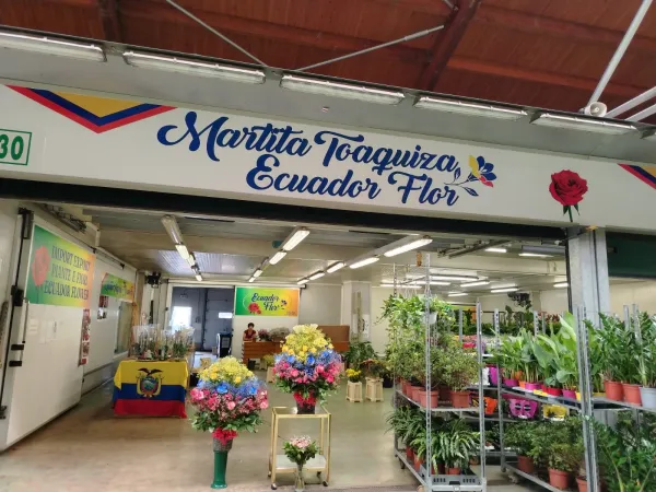 Ecuador Flor