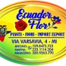 Ecuador Flor logo